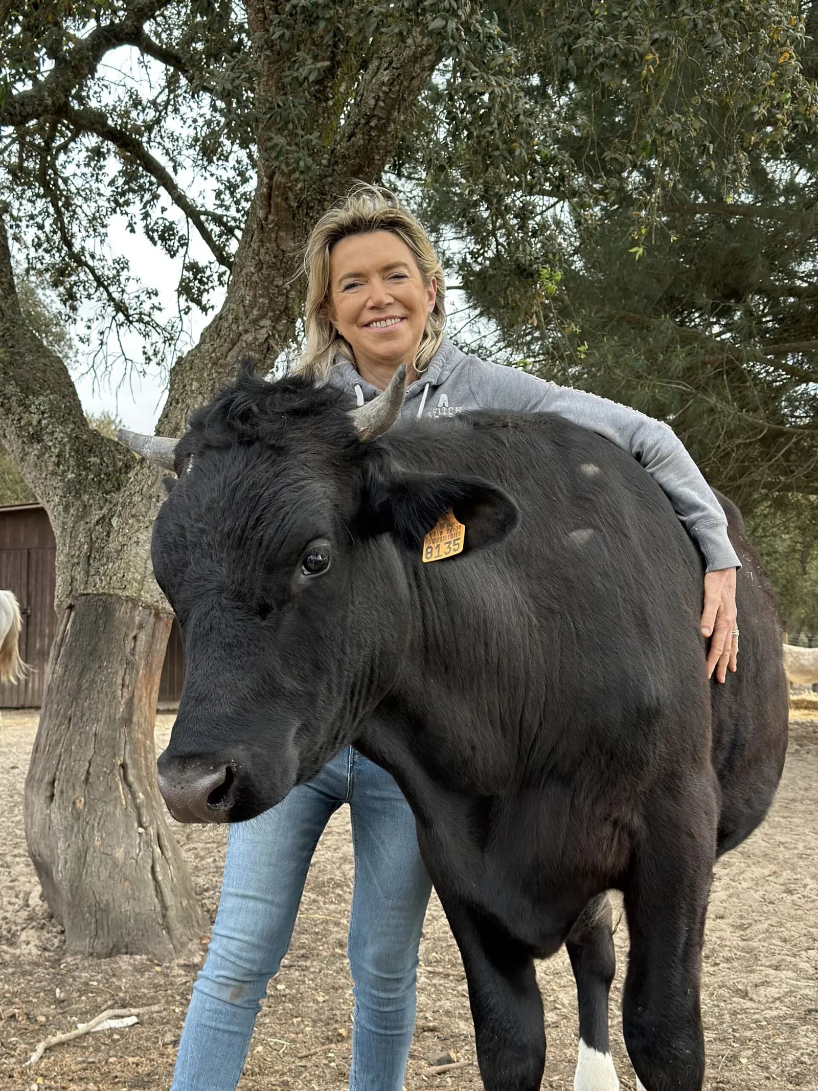Uma mulher abraça uma vaca preta no campo